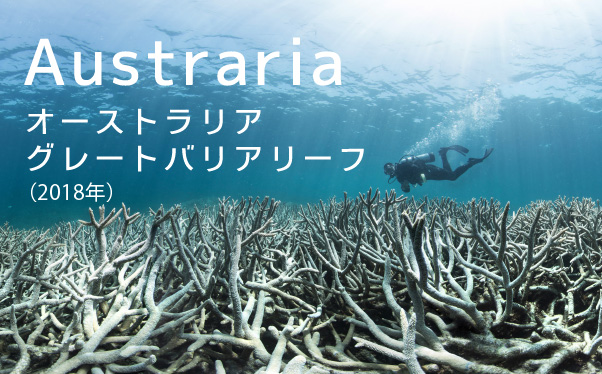 Austraris